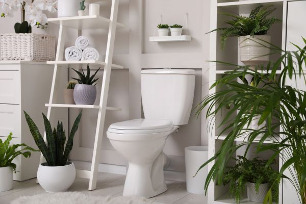 Cost of Toilet Repair in Lexington