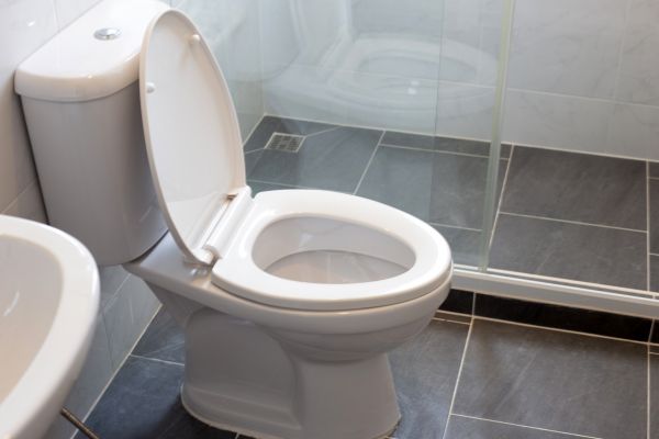 Cost of Toilet Replacement in Lexington
