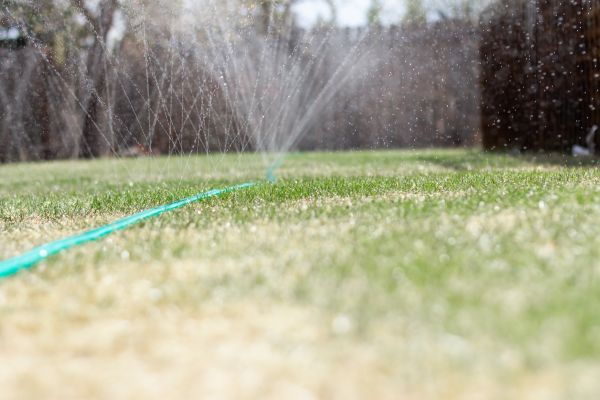 Cost of PVC Line Repair in Lexington