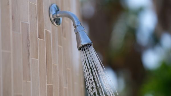 Cost of Showerhead Repair in Lexington