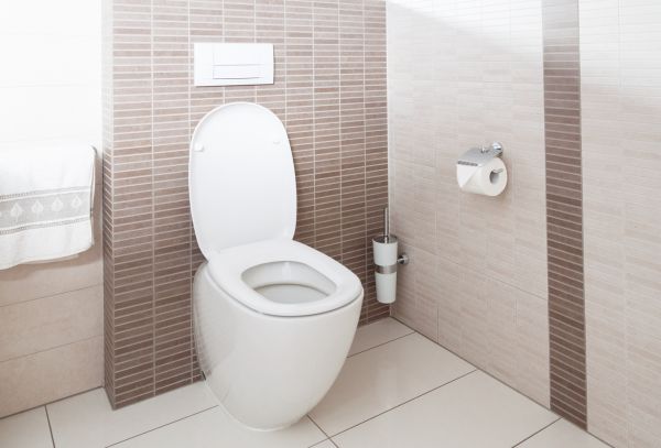 Cost of Toilet Plumbing Installation in Lexington